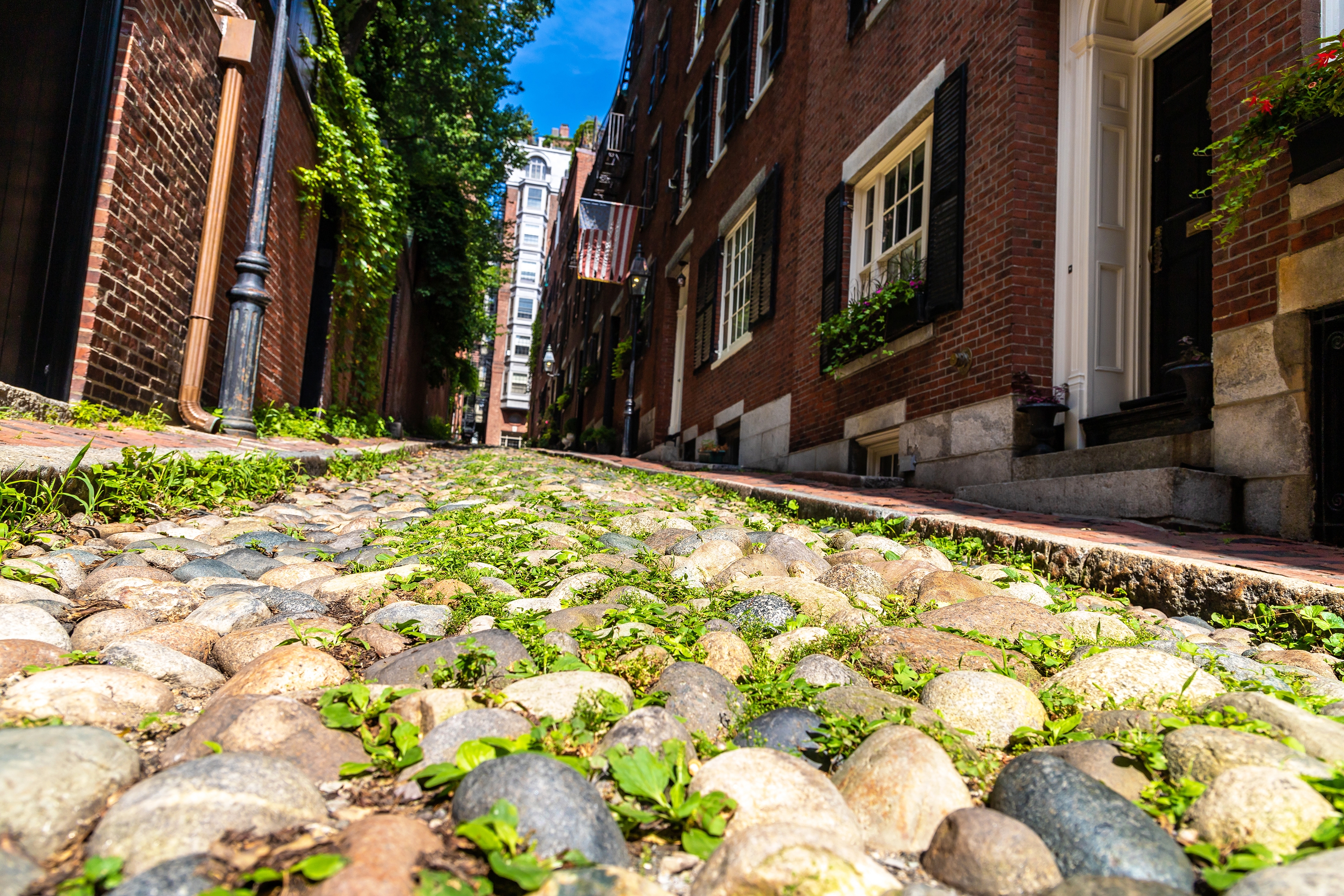 Dining in Beacon Hill During the Summer | Harvard Gardens