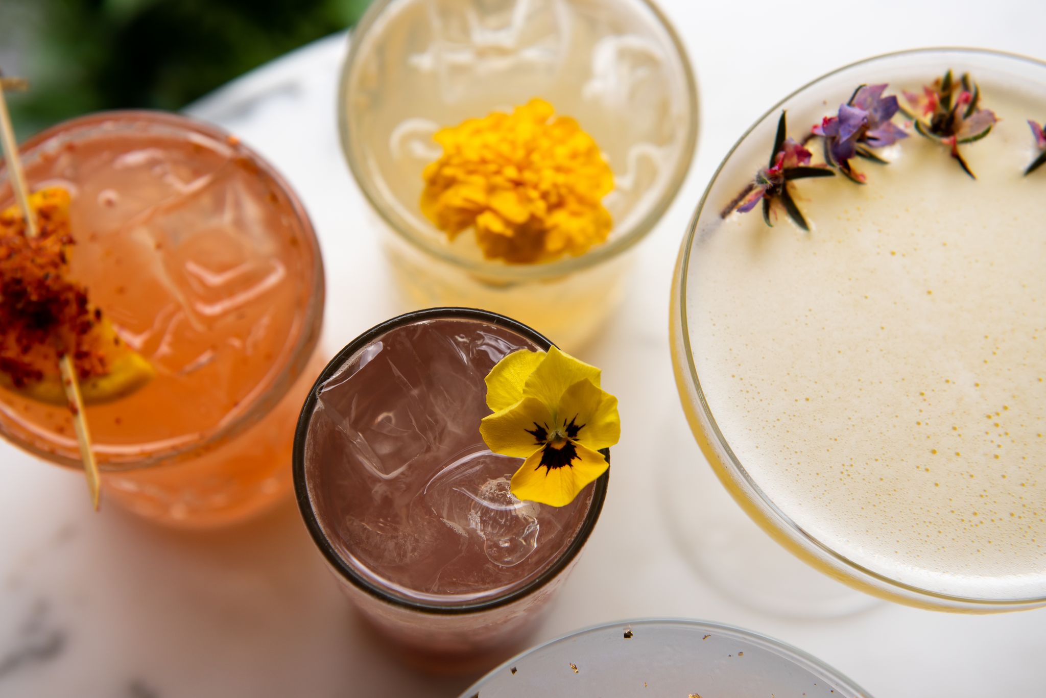 Our Autumn Menu Favorites | Sonsie | American Bistro and Wine Bar in the Back Bay, Boston, MA
