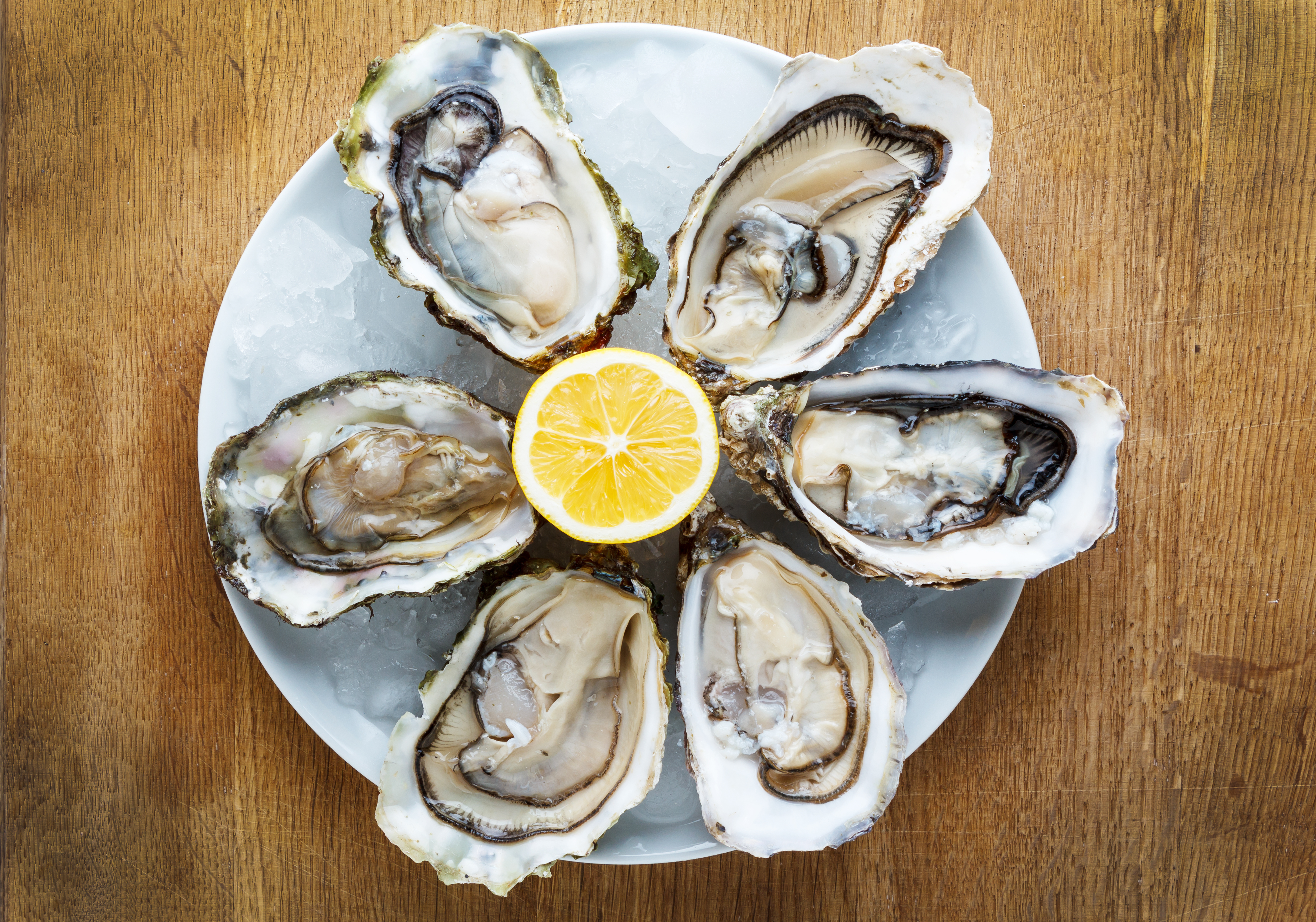 Where to Eat Oysters on Newbury Street? | Sonsie | American Bistro and Wine Bar in the Back Bay, Boston, MA